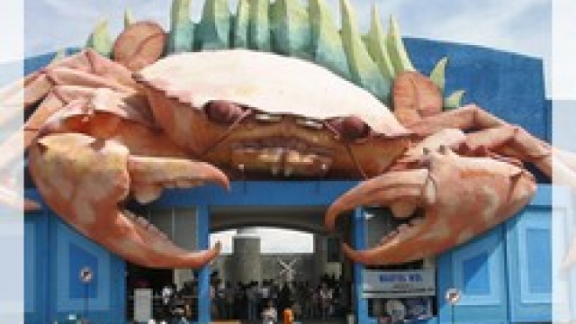 KKN di Wisata Bahari Lamongan