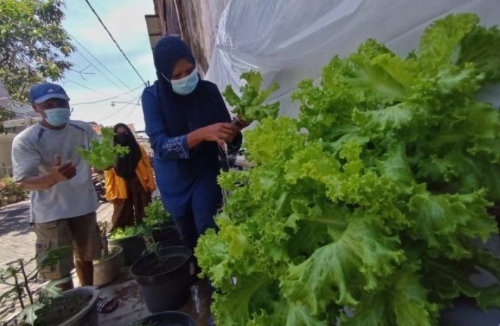 BIOPORI-SMART LIGHT ABSORPTION HOLE TECHNOLOGY TO IMPROVE THE ENVIRONMENTAL QUALITY OF THE URBAN FARMING COMMUNITY OF MALANG CITY